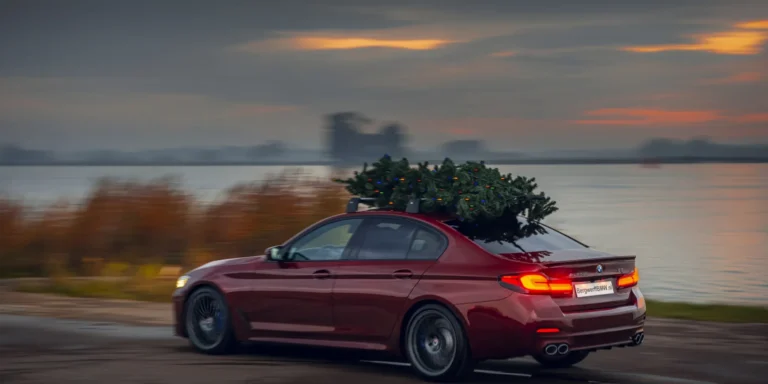 2021-11-0320Bergwerff20B5-8395.jpg-2