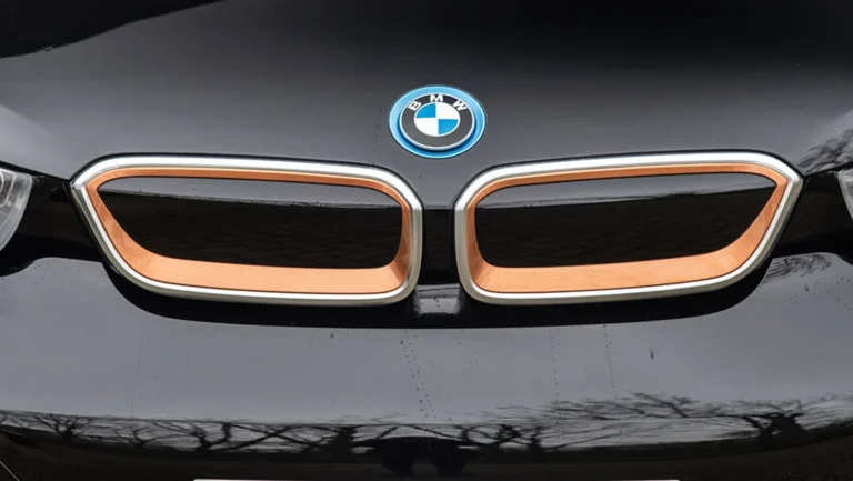 BMW20i320electric20120Ah20roadstyle20Fluid20Black20Stellaric20Dalbergiabraun20201920bergwerff203.jpg